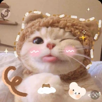 Rùa