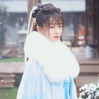 Thôi Thời Nghi ( Thập Nhất)