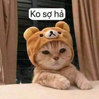 Tác giả cute🧸
