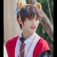 Đinh trình Hâm