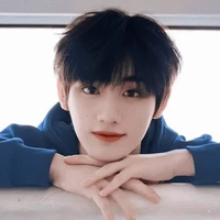 Đinh Trình Hâm ( anh )