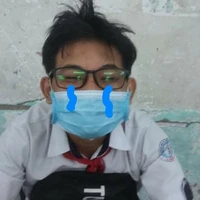 nv phụ