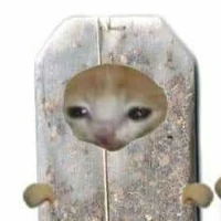T/G