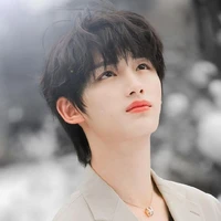 Đinh Trình Hâm