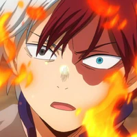 Shoto Todoroki