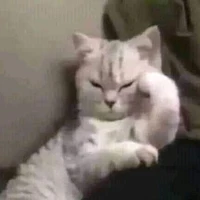 All