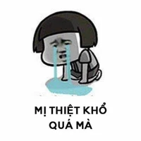 Nv phụ