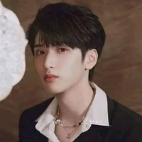 Nghiêm Hạo Tường