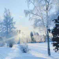 @cmt_walk
