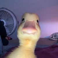 all