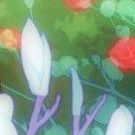 Nv ẩn