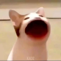 Bakugou Kypwi