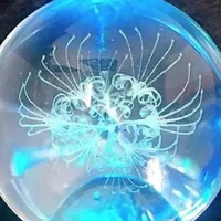 đa nhân vật