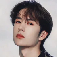 Vương Nhất Bác (NB)