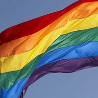 bộ tứ phá hoại