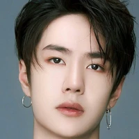 Vương Nhất Bác (papa các anh)