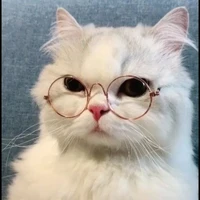 Tác giả bẻ lái