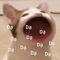 Cả lớp