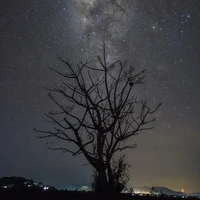 Quần chúng chấp mọi loại vai