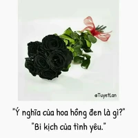 Bí ẩn