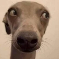 Đoàn