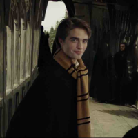 Cedric Diggory 
