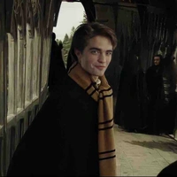 Cedric Diggory 
