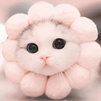 Tác Giả Nhiều Chuyện