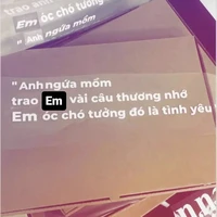 Tep ju (t/g)