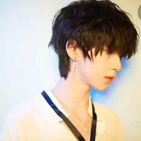 Hạ Tuấn Lâm
