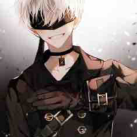 Zin Ace 