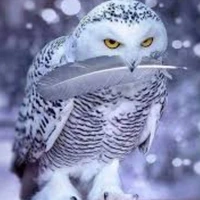 Tác giả ghét Anh èn Thể Dục :-(