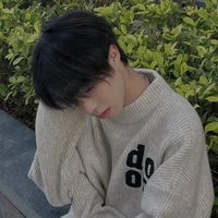 Đình Ngô Nam