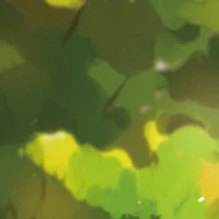Bạn