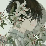 1color flowers( em cô)