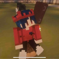 Matador