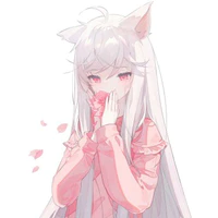 Y/N