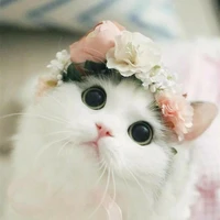 Miko