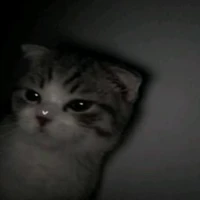 Tác giả cute^^