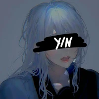 Y/N