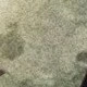 All