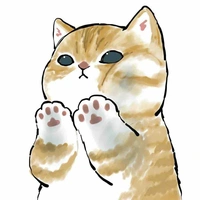 Tachi