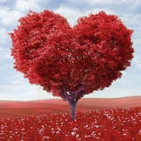 Nhân Vật Quần Chúng