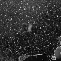 Alice ( con quễ tác giả)