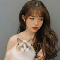 Linh Ngọc Đàm