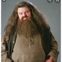 bác hagrid