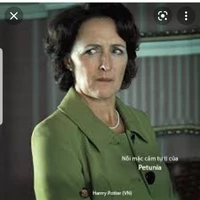 dì của harry