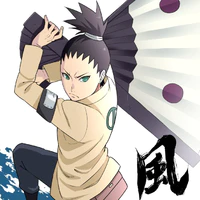 Shikadai Nara ( NT )