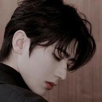 Lâm Hạ vũ nam9