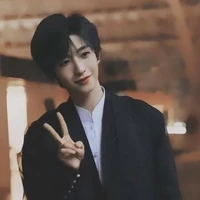 vân tử sâm bff n9